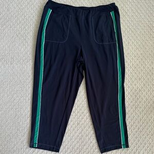 J. Jill Fit Supreme Stretch Slim Leg Pants Navy/Green Stripe 2X Casual Soft